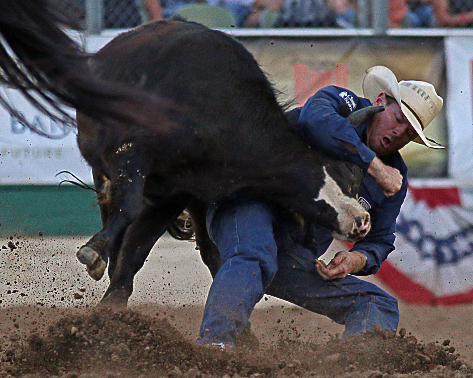 Reno Rodeo Average Champions -- Steer Wrestling -- Hunter Cure 01